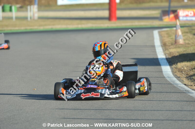 DSC_ (1333).JPG